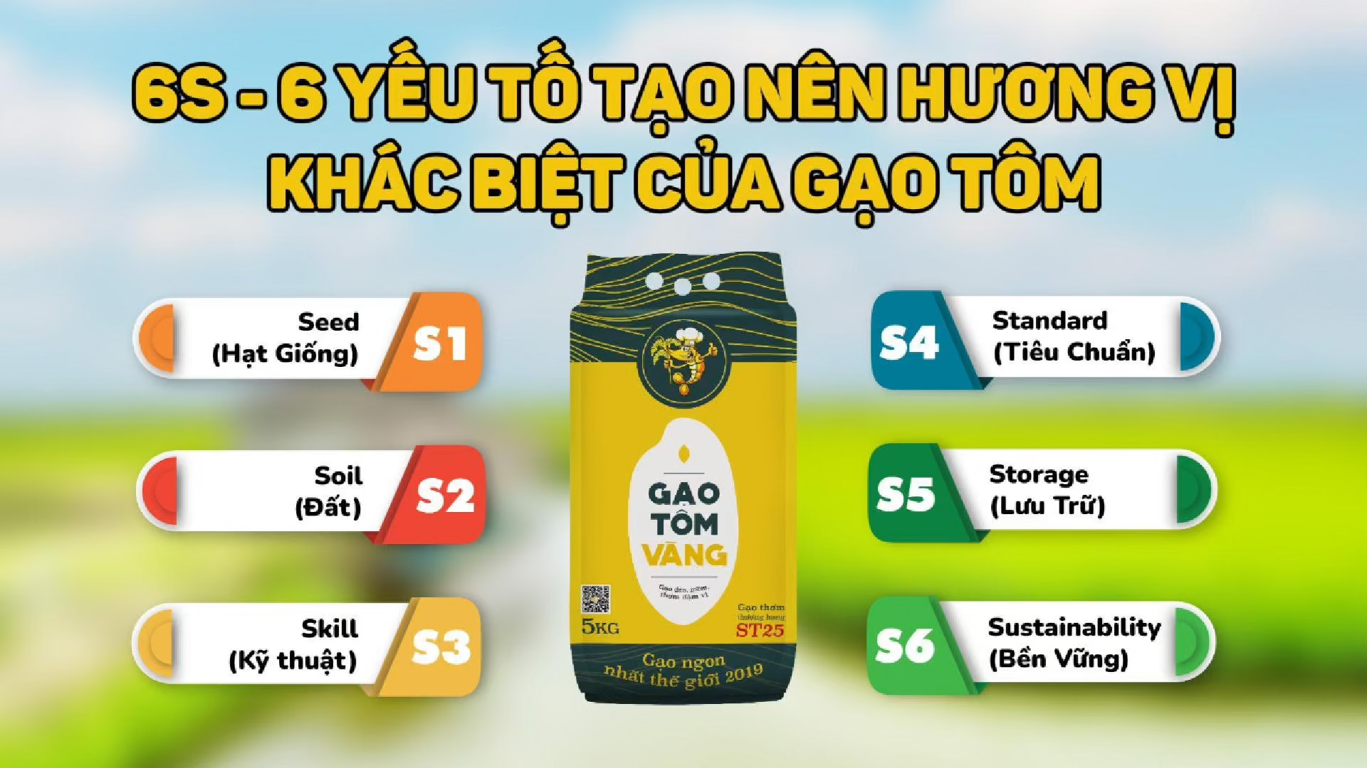 6 Yếu Tố tạo hạt cơm ngon lành!